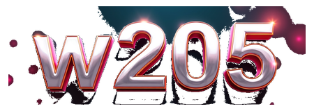 w205 logo